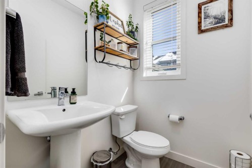 160 Walden Path Se, Calgary, AB - Indoor Photo Showing Bathroom