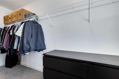 160 Walden Path Se, Calgary, AB - Indoor With Storage