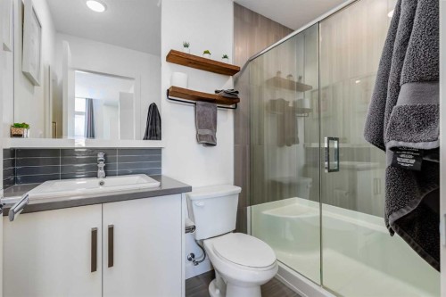160 Walden Path Se, Calgary, AB - Indoor Photo Showing Bathroom