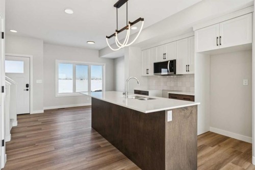17 Gray Close, Sylvan Lake, AB - Indoor Photo Showing Kitchen With Double Sink