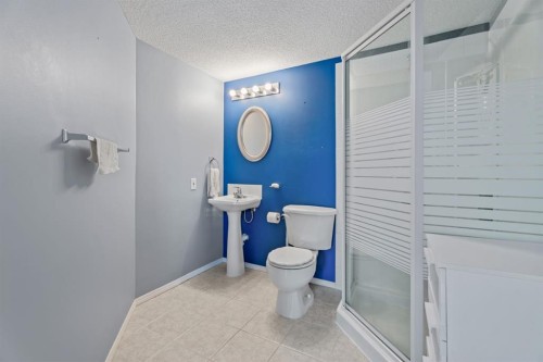 78 Coventry View Ne, Calgary, AB - Indoor Photo Showing Bathroom