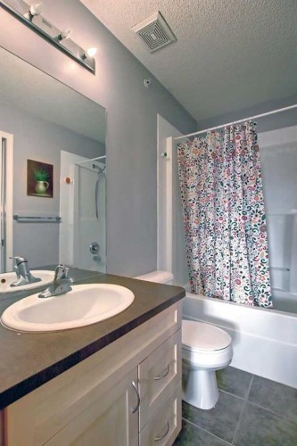 9303-70 Panamount Drive Nw, Calgary, AB - Indoor Photo Showing Bathroom