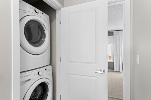 102 Walden Circle Se, Calgary, AB - Indoor Photo Showing Laundry Room