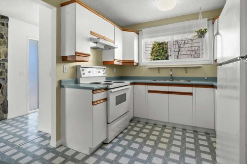 96 Jensen Crescent Ne, Airdrie, AB - Indoor Photo Showing Kitchen
