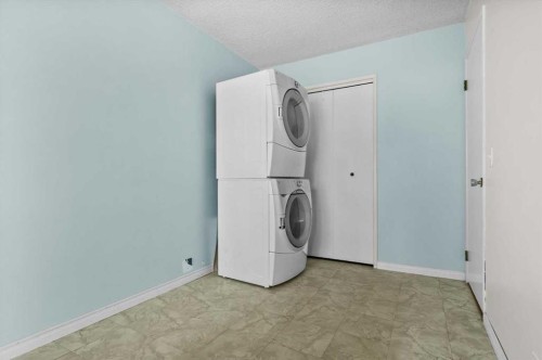 96 Jensen Crescent Ne, Airdrie, AB - Indoor Photo Showing Laundry Room