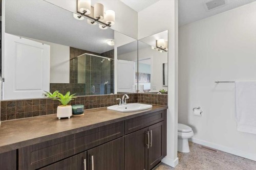 1303 New Brighton Park Se, Calgary, AB - Indoor Photo Showing Bathroom