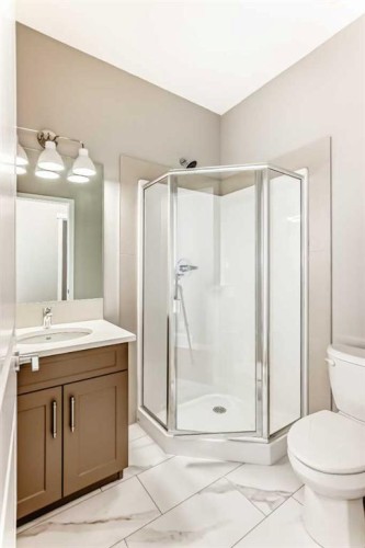 1093 Sawgrass Link Nw, Airdrie, AB - Indoor Photo Showing Bathroom