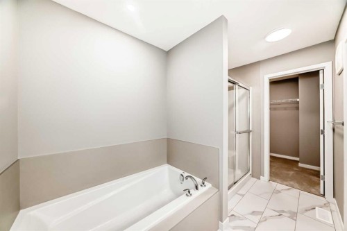 1093 Sawgrass Link Nw, Airdrie, AB - Indoor Photo Showing Bathroom