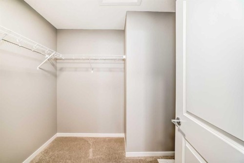 1093 Sawgrass Link Nw, Airdrie, AB - Indoor With Storage