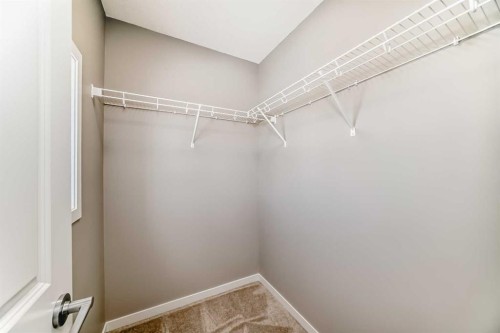 1093 Sawgrass Link Nw, Airdrie, AB - Indoor With Storage