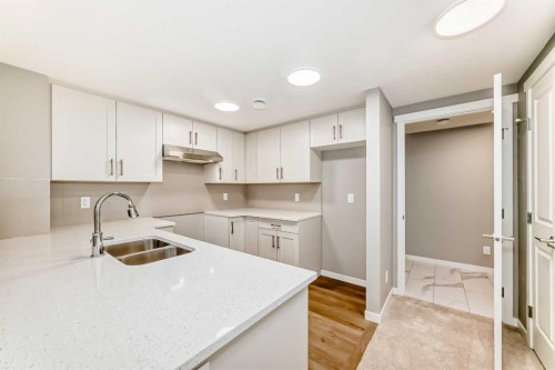 1093 Sawgrass Link Nw, Airdrie, AB - Indoor Photo Showing Kitchen With Double Sink