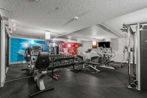 110-510 Edmonton Trail Ne, Calgary, AB - Indoor Photo Showing Gym Room
