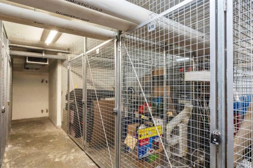 110-510 Edmonton Trail Ne, Calgary, AB - Indoor With Storage