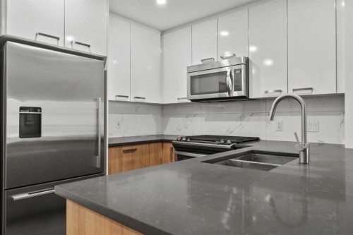 110-510 Edmonton Trail Ne, Calgary, AB - Indoor Photo Showing Kitchen With Stainless Steel Kitchen With Double Sink With Upgraded Kitchen