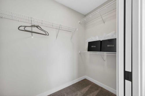 420 Lewiston Landing Ne, Calgary, AB - Indoor With Storage