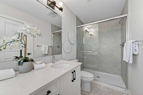 420 Lewiston Landing Ne, Calgary, AB - Indoor Photo Showing Bathroom