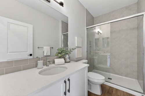 420 Lewiston Landing Ne, Calgary, AB - Indoor Photo Showing Bathroom