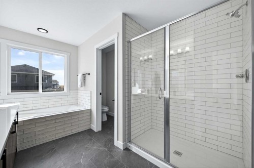 473 Lewiston Landing Ne, Calgary, AB - Indoor Photo Showing Bathroom
