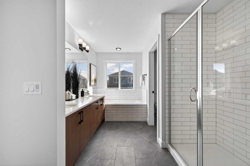 473 Lewiston Landing Ne, Calgary, AB - Indoor Photo Showing Bathroom