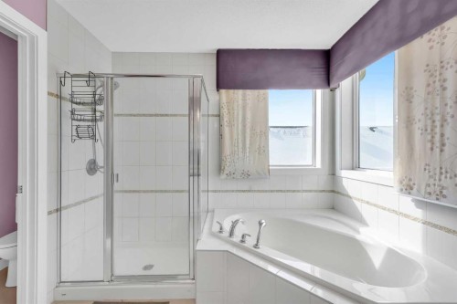 245 Skyview Ranch Way Ne, Calgary, AB - Indoor Photo Showing Bathroom