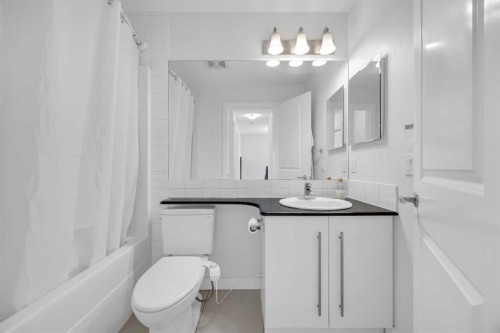 245 Skyview Ranch Way Ne, Calgary, AB - Indoor Photo Showing Bathroom