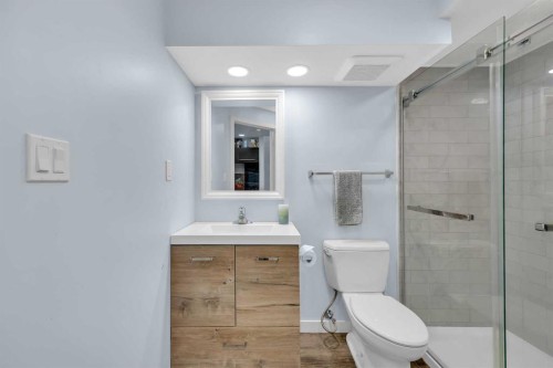 245 Skyview Ranch Way Ne, Calgary, AB - Indoor Photo Showing Bathroom