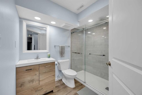 245 Skyview Ranch Way Ne, Calgary, AB - Indoor Photo Showing Bathroom