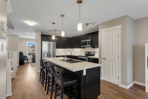 23 Copperpond Square Se, Calgary, AB - Indoor Photo Showing Kitchen With Stainless Steel Kitchen With Double Sink With Upgraded Kitchen