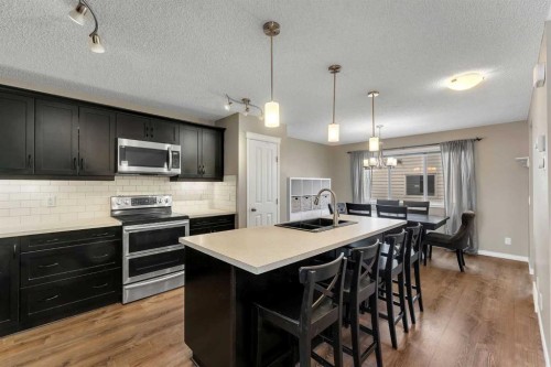 23 Copperpond Square Se, Calgary, AB - Indoor Photo Showing Kitchen With Stainless Steel Kitchen With Double Sink With Upgraded Kitchen