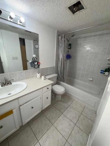 203-511 56 Avenue Sw, Calgary, AB - Indoor Photo Showing Bathroom