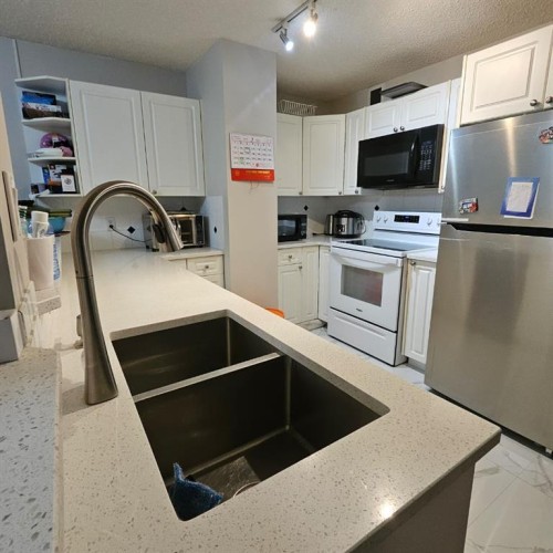 203-511 56 Avenue Sw, Calgary, AB - Indoor Photo Showing Kitchen With Double Sink