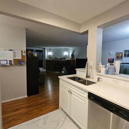 203-511 56 Avenue Sw, Calgary, AB - Indoor Photo Showing Kitchen With Double Sink