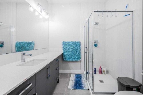 2226-151 Skyview Bay Ne, Calgary, AB - Indoor Photo Showing Bathroom