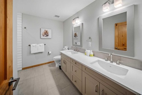 103-905 Spring Creek Drive, Canmore, AB - Indoor Photo Showing Bathroom