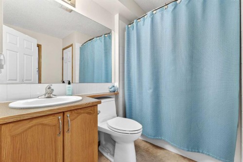 131 Citadel Mesa Close Nw, Calgary, AB - Indoor Photo Showing Bathroom