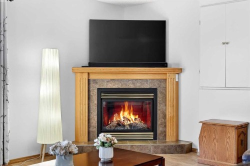 131 Citadel Mesa Close Nw, Calgary, AB - Indoor Photo Showing Living Room With Fireplace