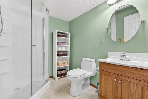 131 Citadel Mesa Close Nw, Calgary, AB - Indoor Photo Showing Bathroom