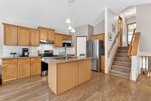131 Citadel Mesa Close Nw, Calgary, AB - Indoor Photo Showing Kitchen With Stainless Steel Kitchen With Double Sink