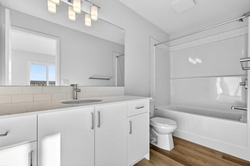 1007-132 Red Embers Link Ne, Calgary, AB - Indoor Photo Showing Bathroom