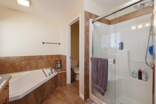 116 Rainbow Falls Grove, Chestermere, AB - Indoor Photo Showing Bathroom