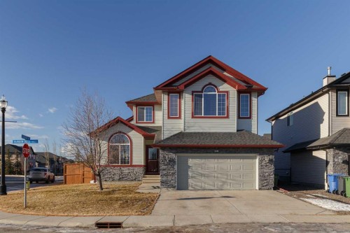 116 Rainbow Falls Grove, Chestermere, AB - Outdoor