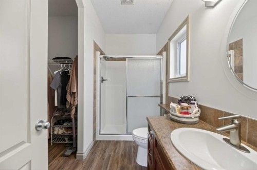 5910 Park Meadows Crescent, Olds, AB - Indoor Photo Showing Bathroom