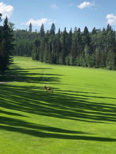 38 Sunrise Way, Priddis Greens, AB - Outdoor With View