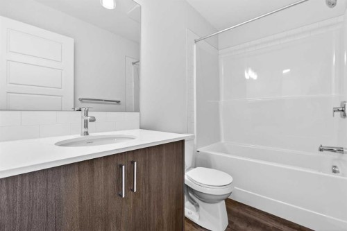 1023-132 Red Embers Link Ne, Calgary, AB - Indoor Photo Showing Bathroom