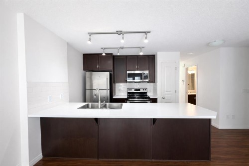 130 Auburn Meadows Walk Se, Calgary, AB - Indoor Photo Showing Kitchen With Double Sink