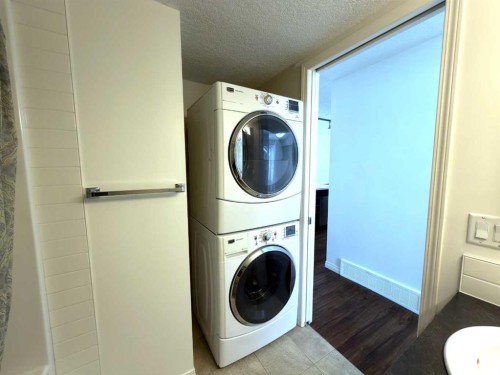130 Auburn Meadows Walk Se, Calgary, AB - Indoor Photo Showing Laundry Room