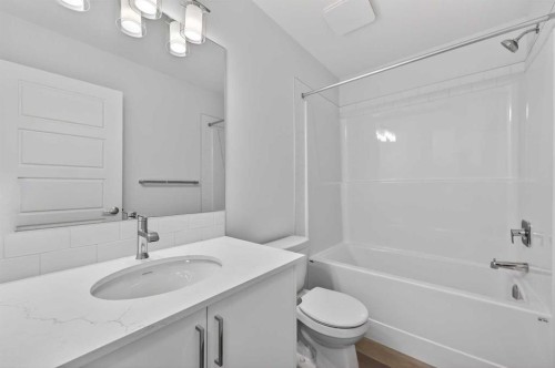906-132 Red Embers Link Ne, Calgary, AB - Indoor Photo Showing Bathroom