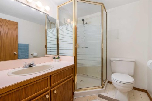 232 Millbank Drive Sw, Calgary, AB - Indoor Photo Showing Bathroom