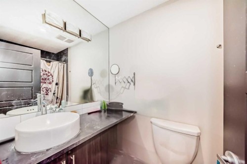 88 Pantego Lane Nw, Calgary, AB - Indoor Photo Showing Bathroom