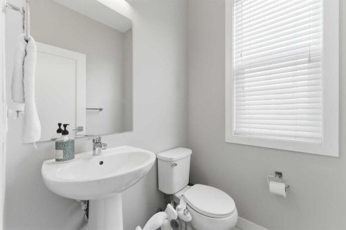 20 Cornerstone Manor Ne, Calgary, AB - Indoor Photo Showing Bathroom
